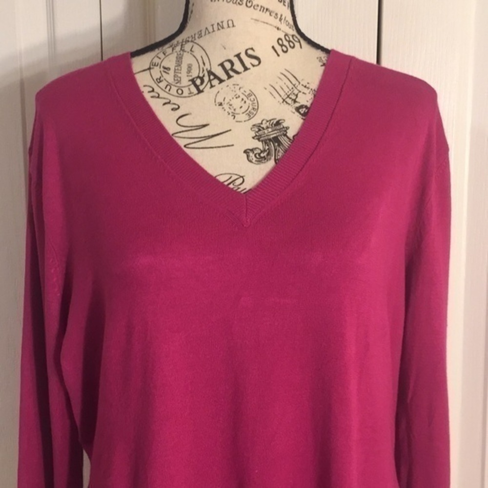 The Limited v neck sweater with pleated ta…